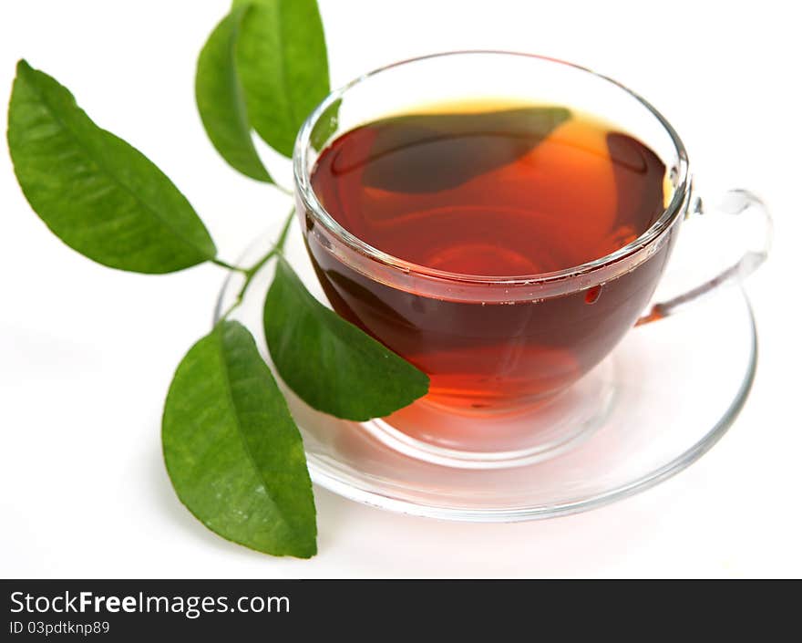 Tea and green leaf on a white background