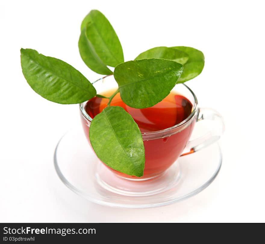 Tea and green leaf on a white background