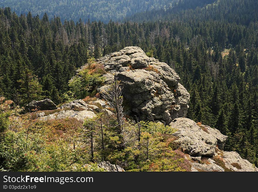 Hiking on the Arber in the bavarian mountains