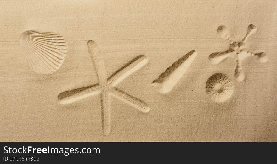 Seashells background on sand