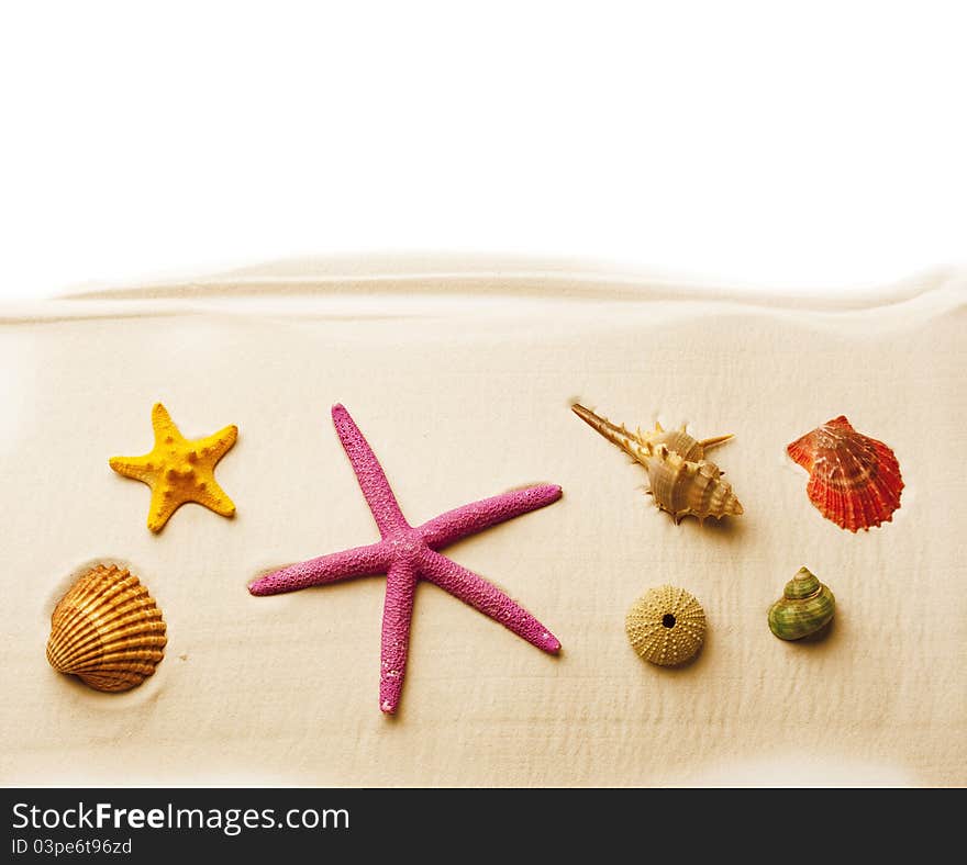 Colorful seashells and starfishes on the sand; summer background. Colorful seashells and starfishes on the sand; summer background