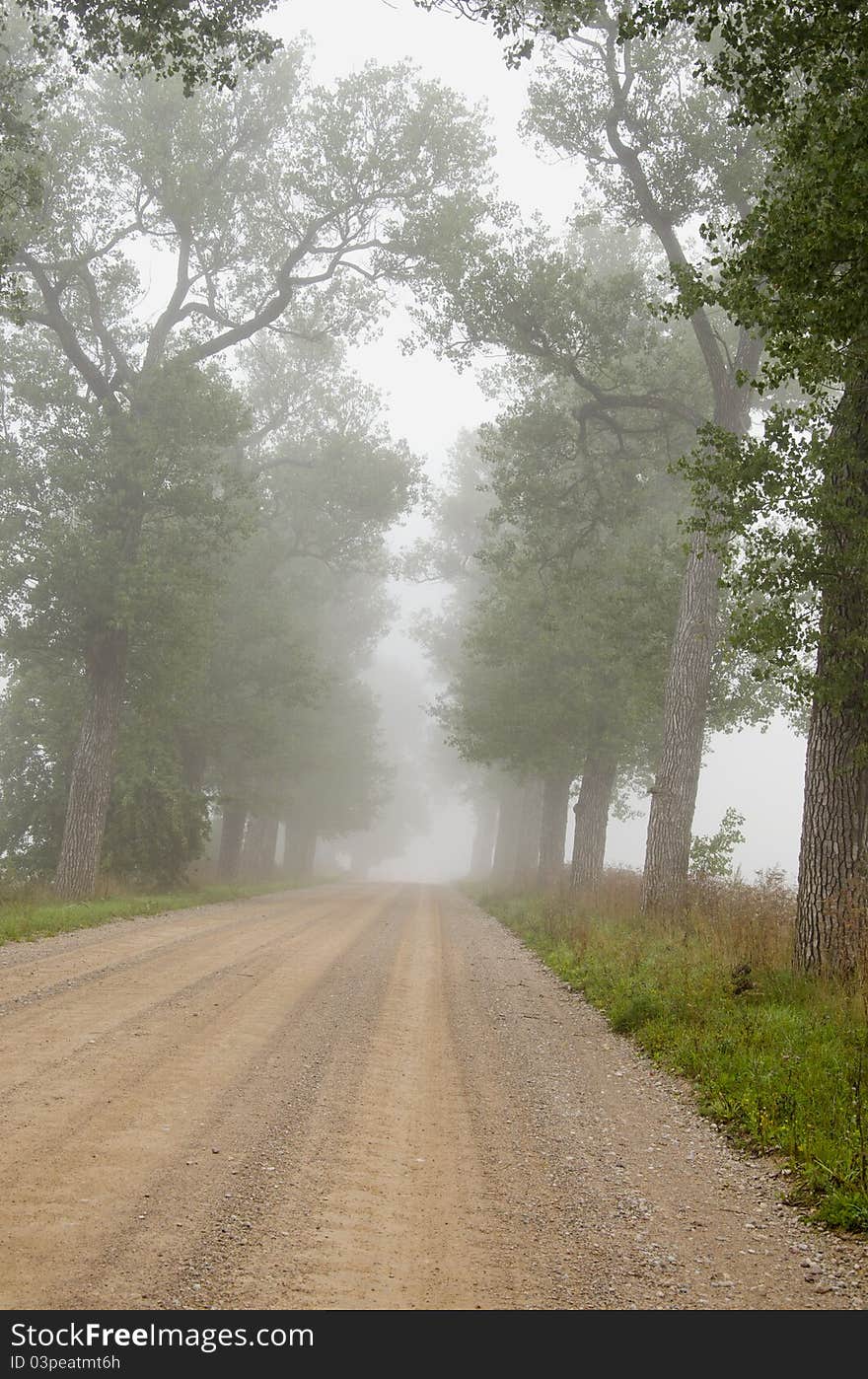 Gravel road with tree and mist