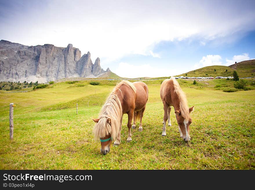 Two ponies eating grass - mountain rural landscape