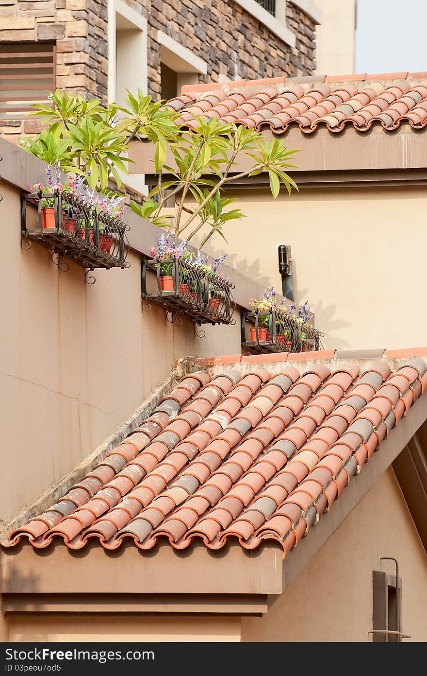 The crisscross red roof with plants. The crisscross red roof with plants