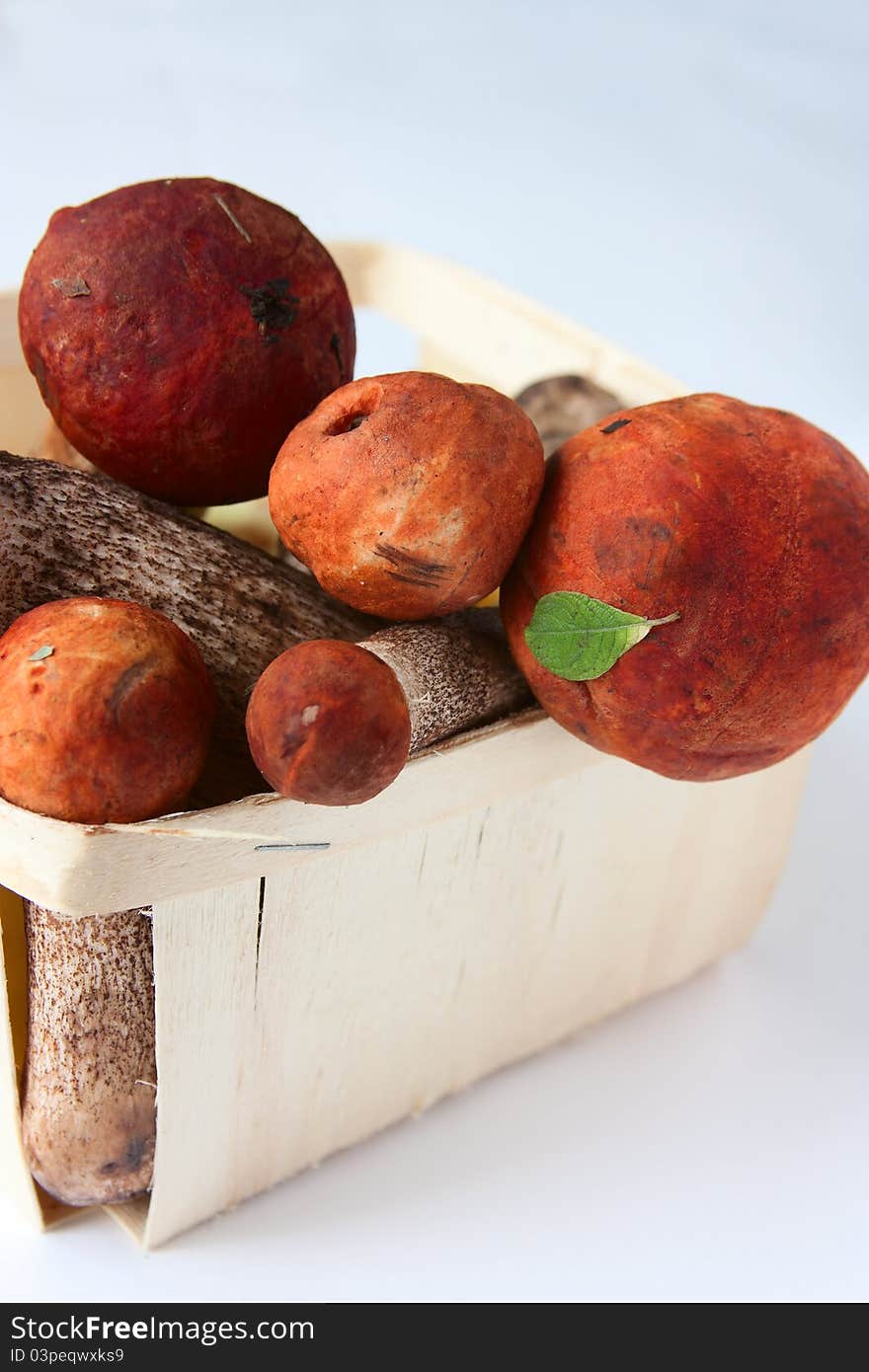 Basket with orange-cup boletuses. Basket with orange-cup boletuses