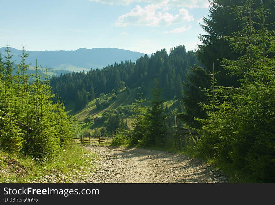 Country Road