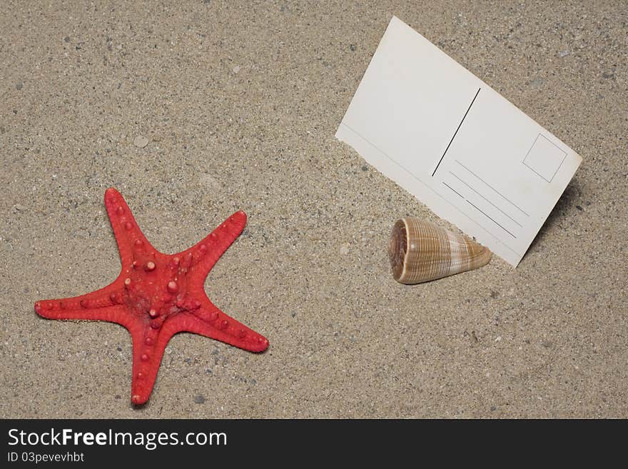 Blank postcard in beach sand, with seashell and a starfish. Vacation time!