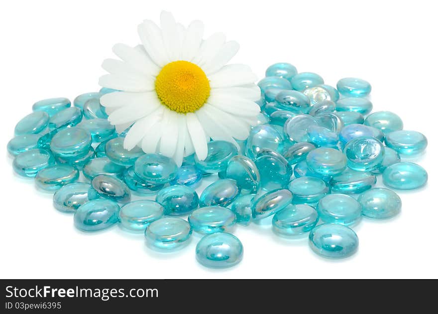 Daisy Flower on Blue Glass Stones