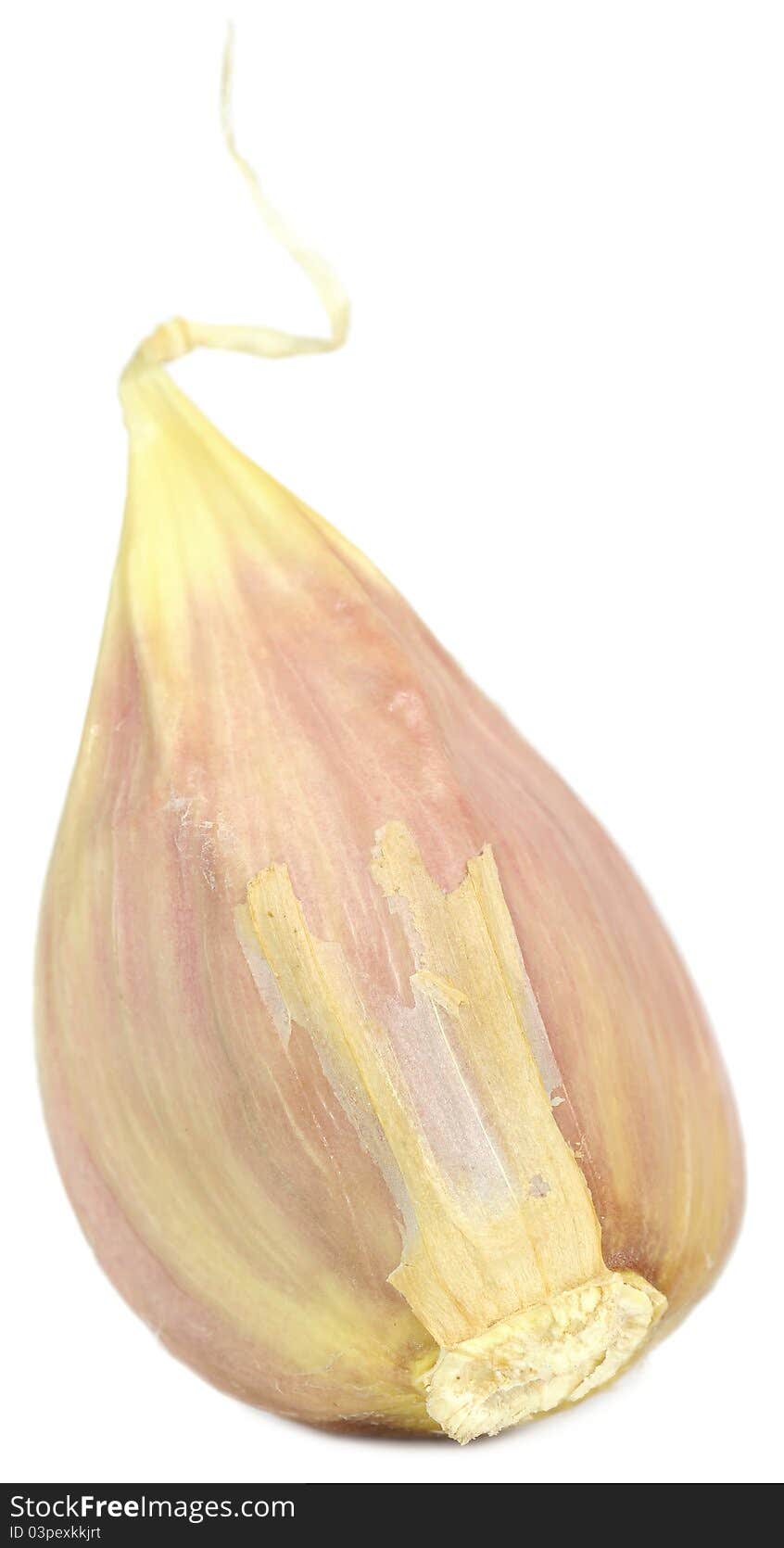 Clove Of Garlic