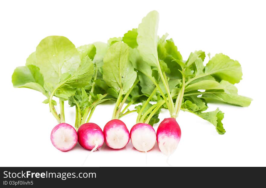 A bunch of fresh garden radishes over white background