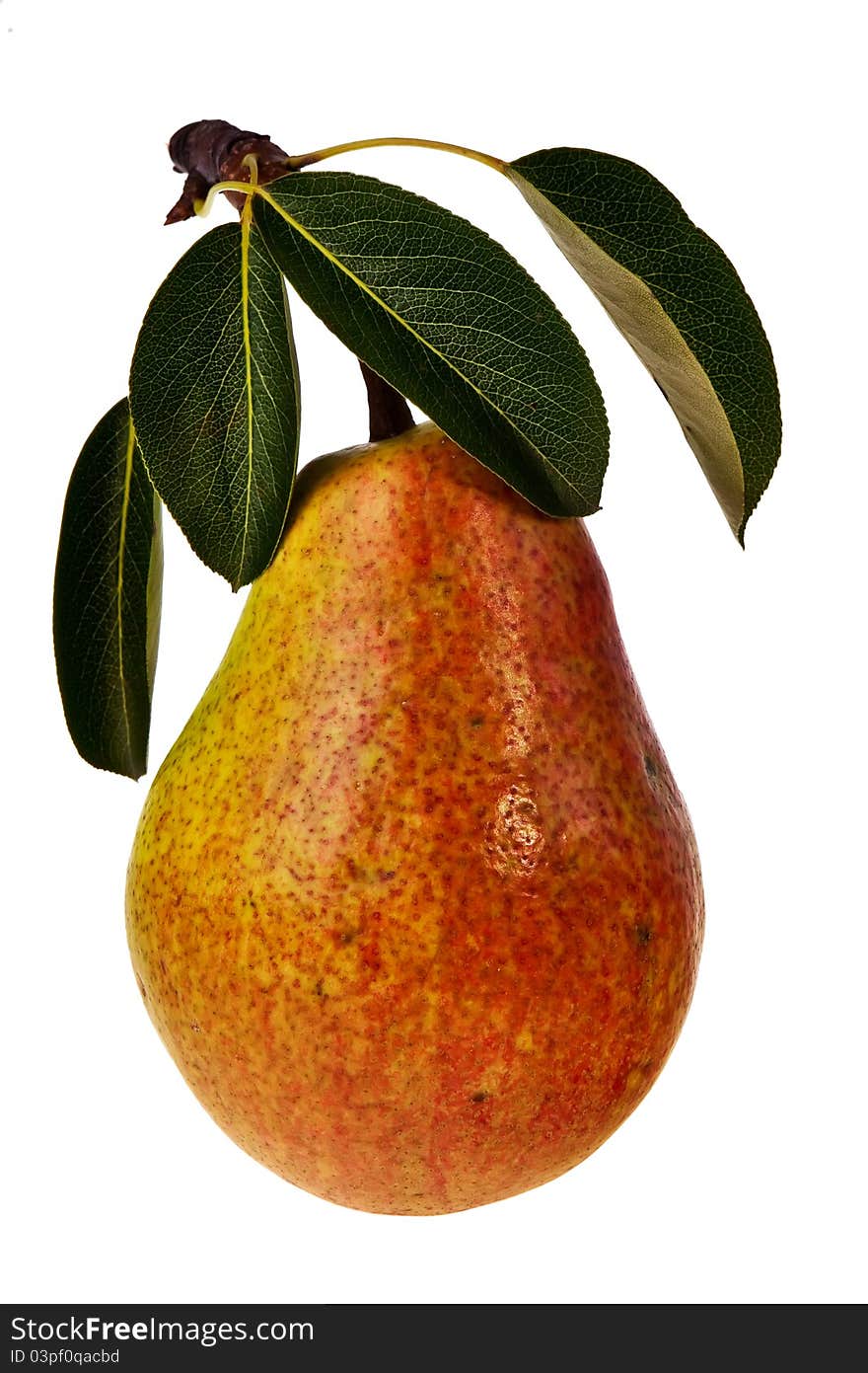 Ripe pear.