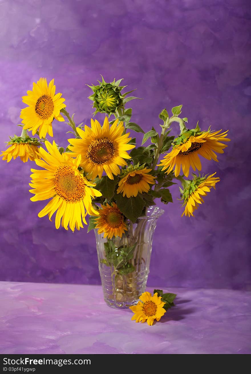 Sunflowers in a transparent glass vase on abstract background