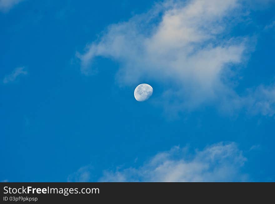 Nice moon on summer day