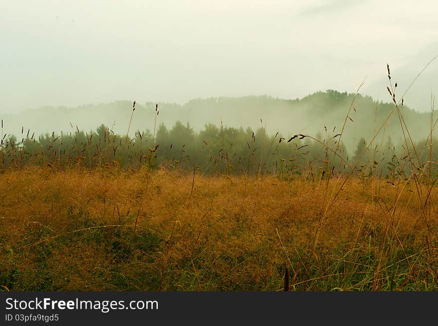 Fogy weather in morning mountains