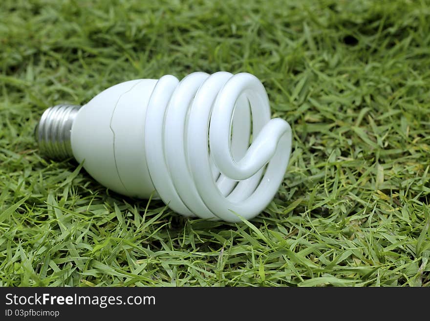 Light bulb on a green grass back to nature concept. Light bulb on a green grass back to nature concept.