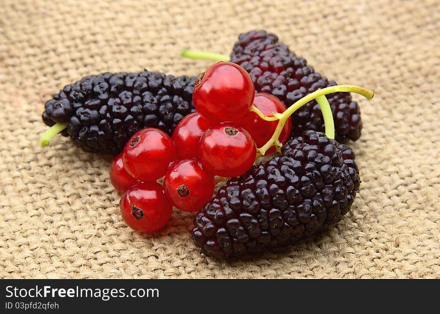 Red currant and mulberry on the linen texture