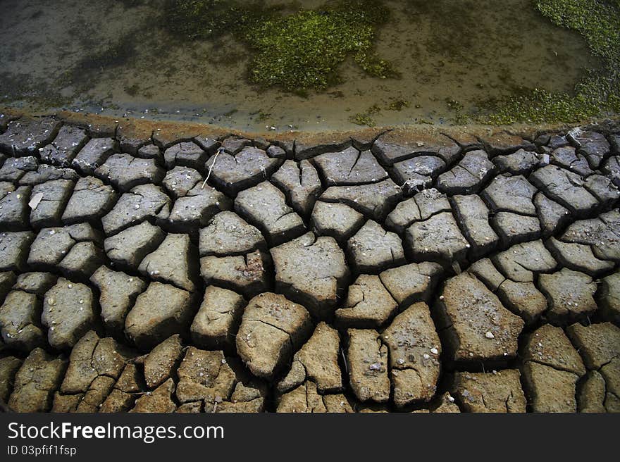 Cracked and dried mud texture. Cracked and dried mud texture