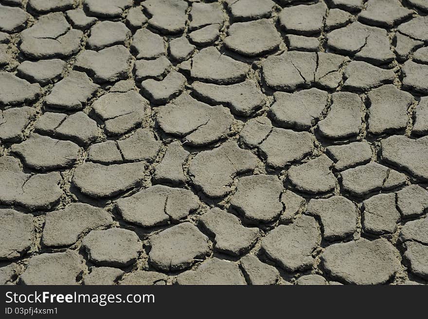 Cracked and dried mud texture. Cracked and dried mud texture