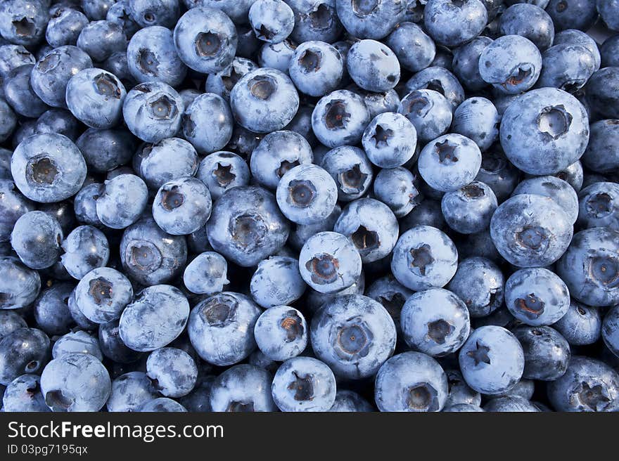 Fresh blueberries in a plate. Fresh blueberries in a plate