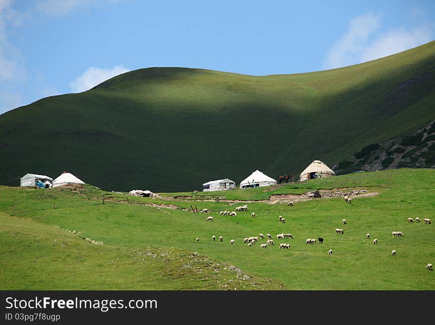 Tianshan Ranch Vacation Tent