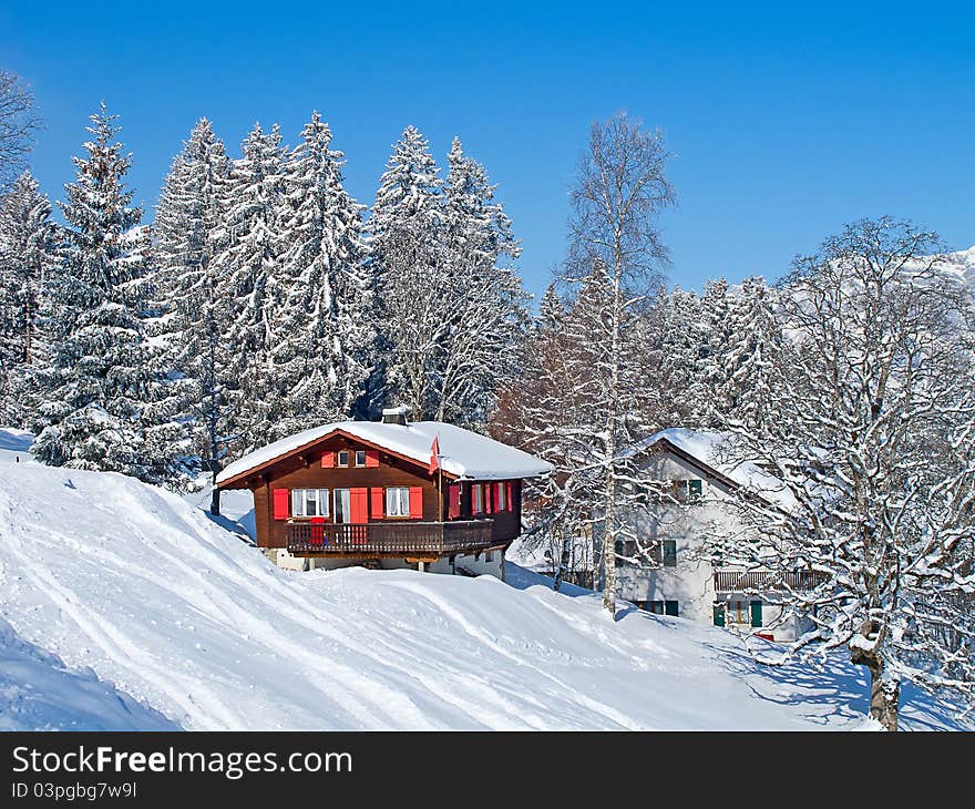 Winter in alps