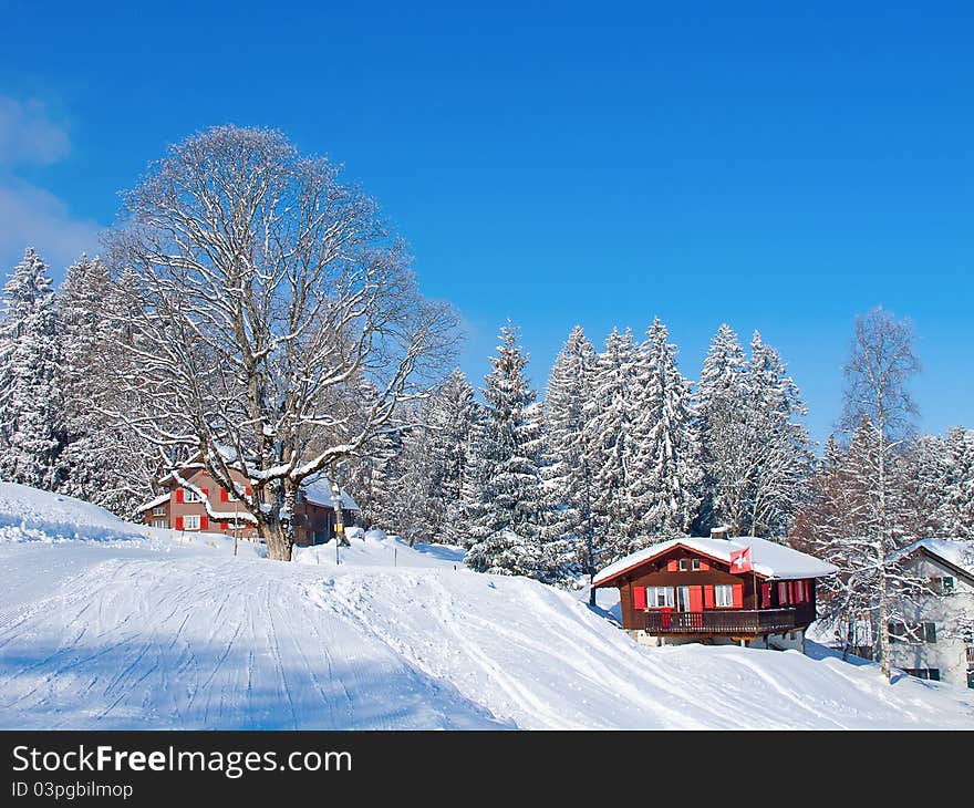 Winter In Alps