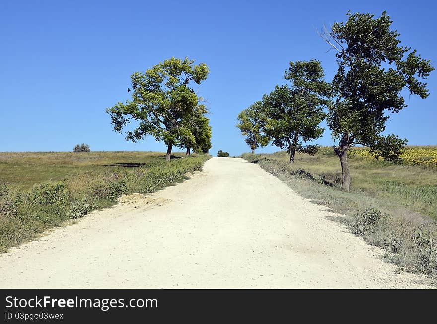 Dirt road