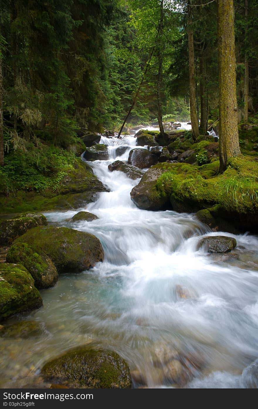 Falls in wood, the mountain river