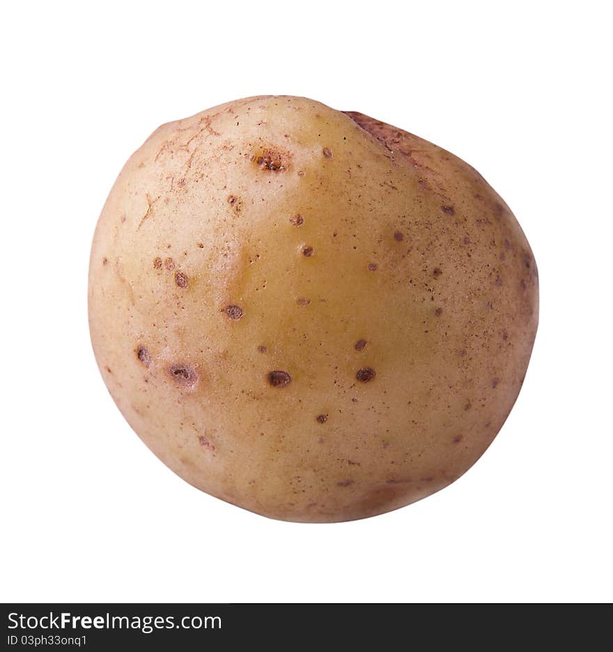 Potato