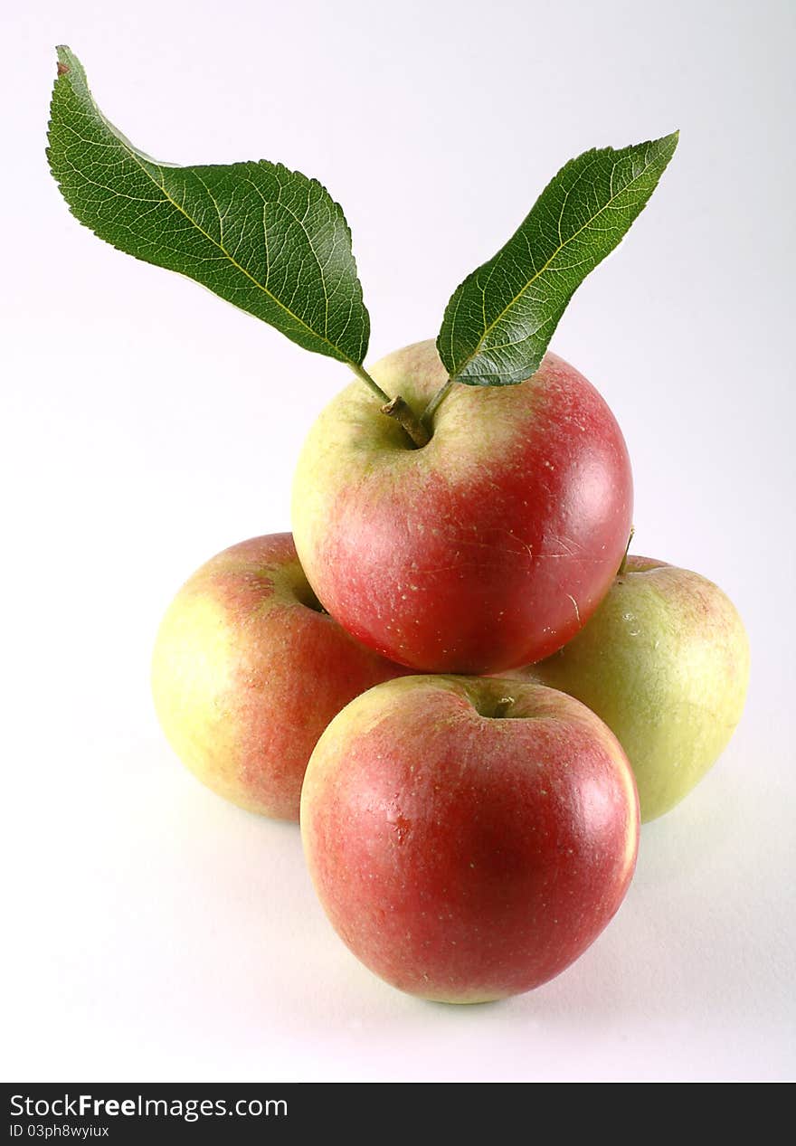 Four home grown organic apples isolated on a white background. Four home grown organic apples isolated on a white background