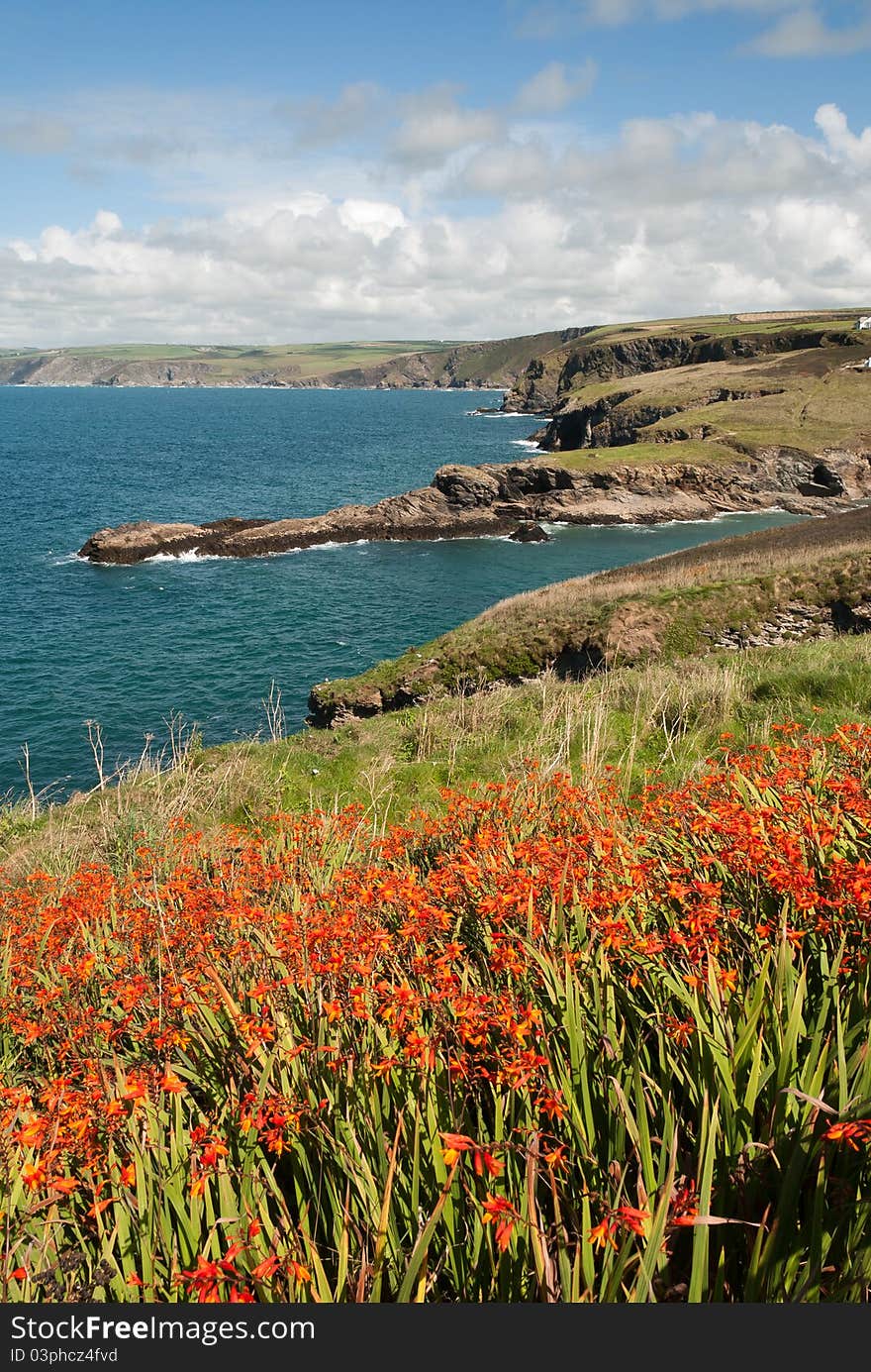 Landscape In Cornwall