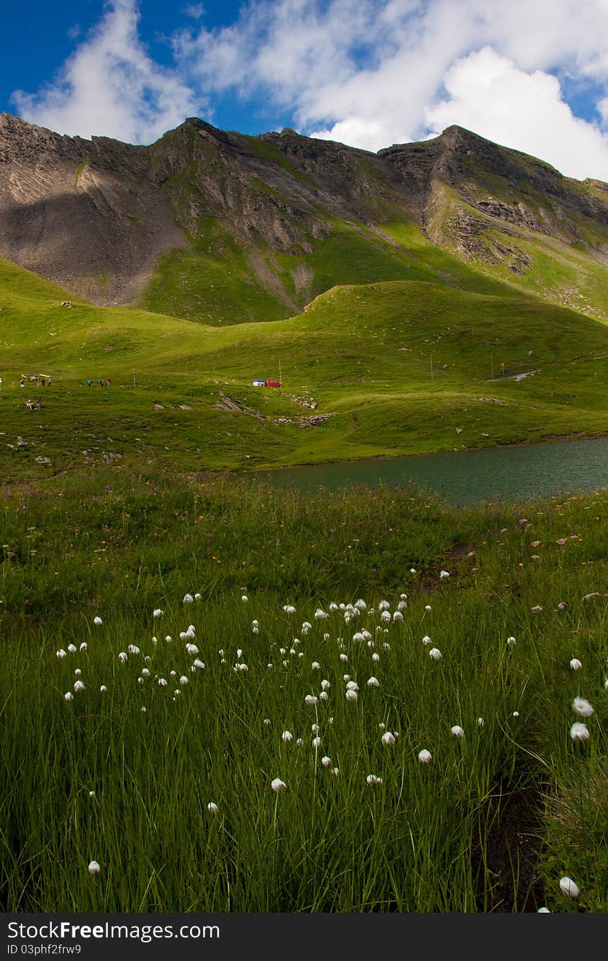 View fom the FIRST mountain in Switzerland