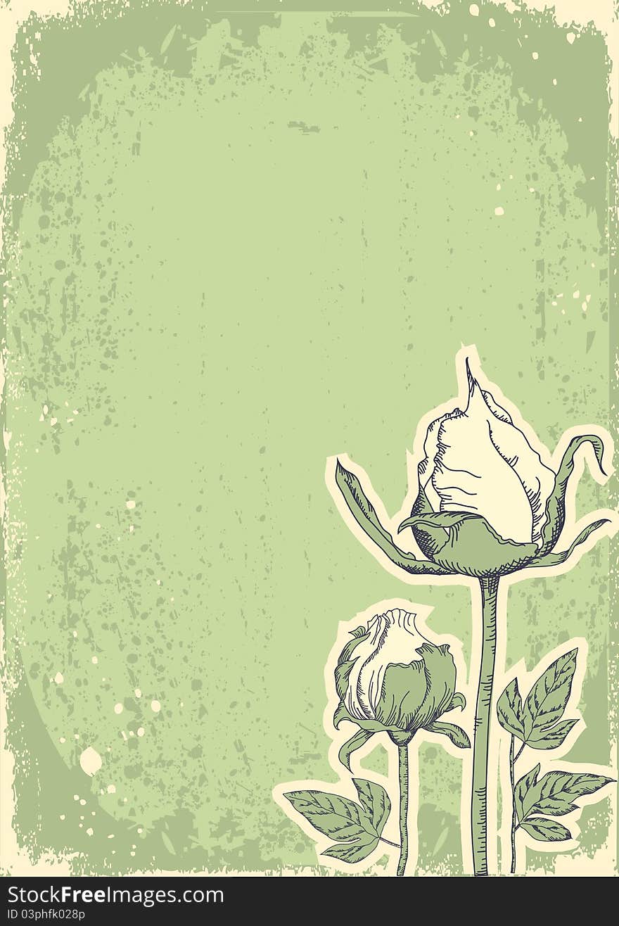 Vintage floral postacardfor design.