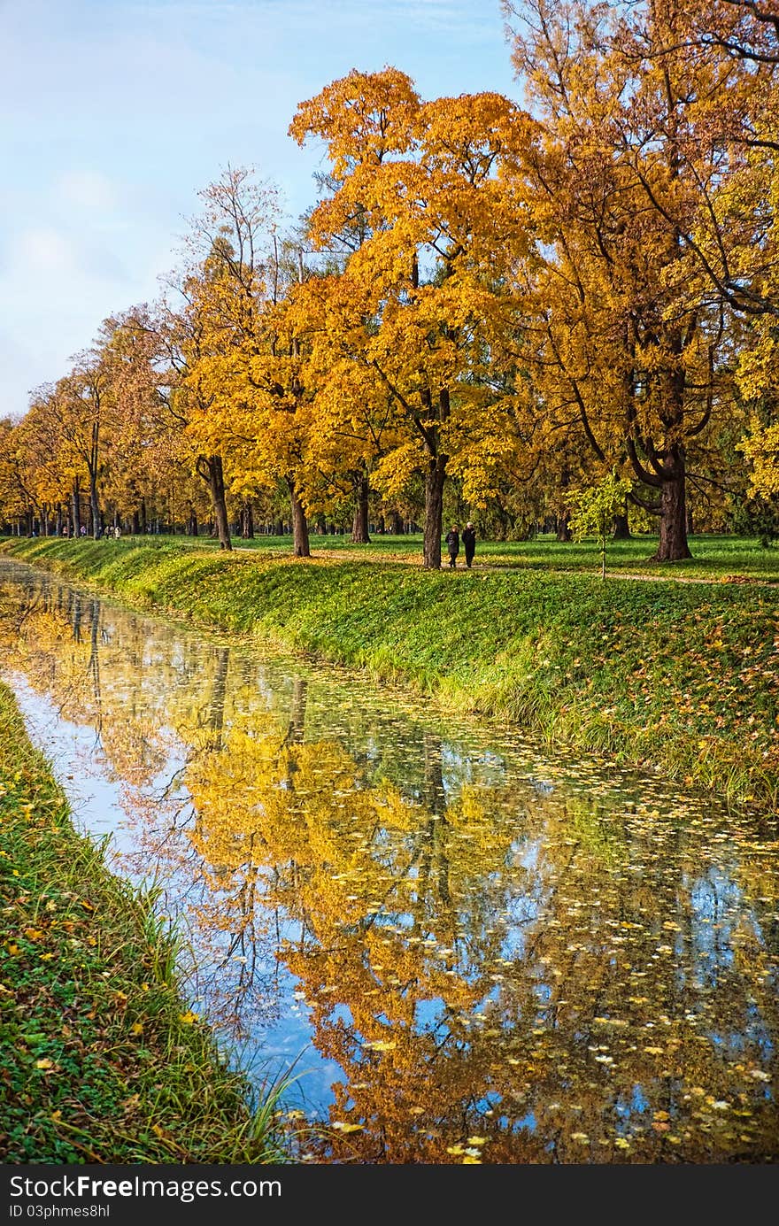 Golden Autumn Trees With Reflection In Water