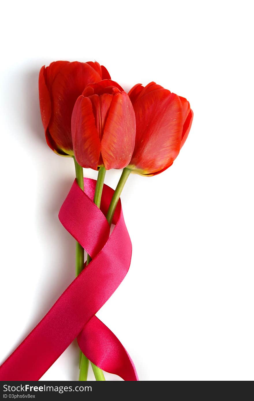 An image of three red tulips on white background. An image of three red tulips on white background