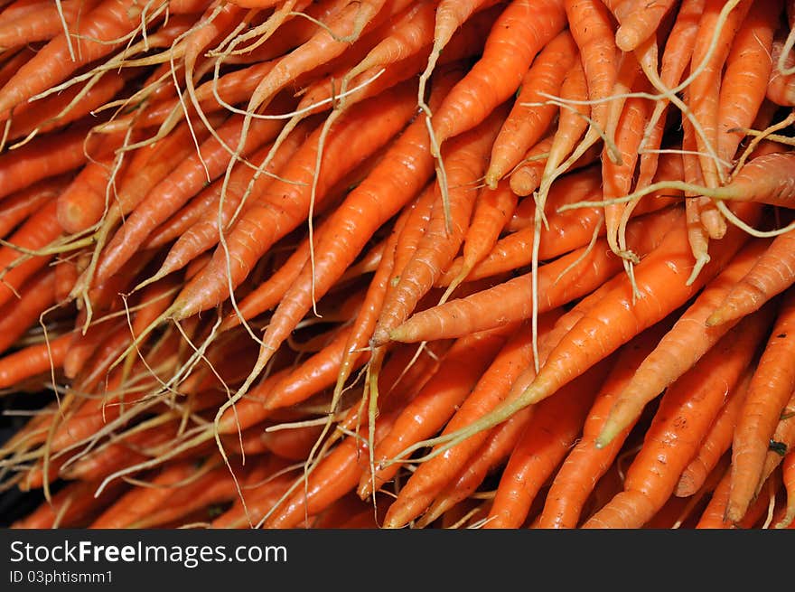 Fresh Carrots