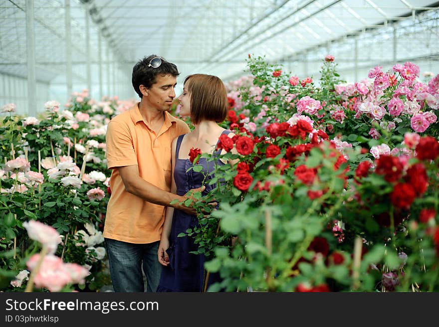 An image of women and men in a greenhouse. An image of women and men in a greenhouse