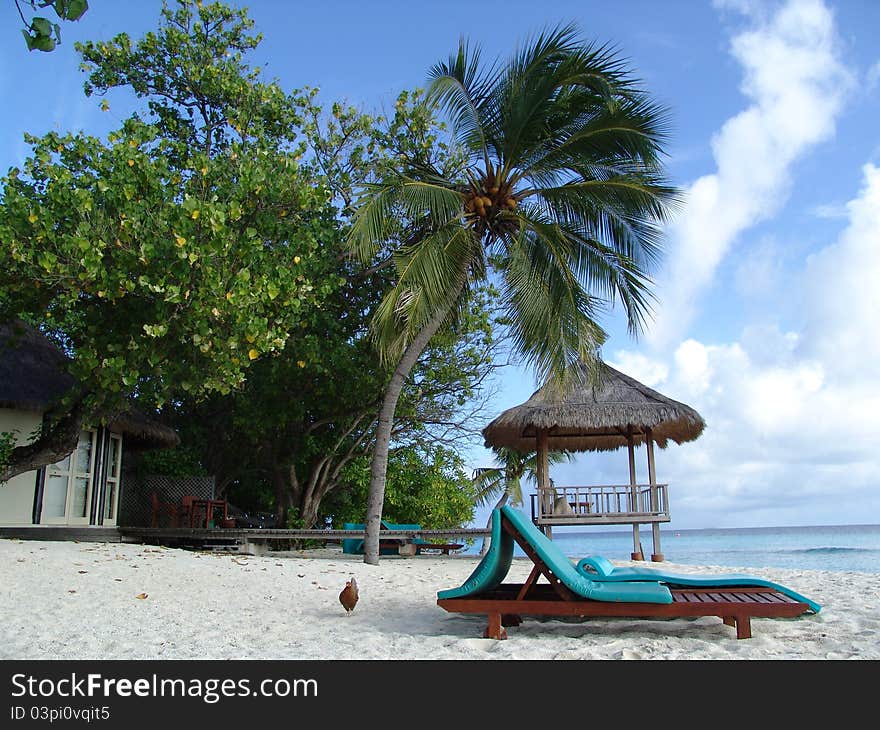 Sunny day on beaches of fantastic islands Maldives. Sunny day on beaches of fantastic islands Maldives