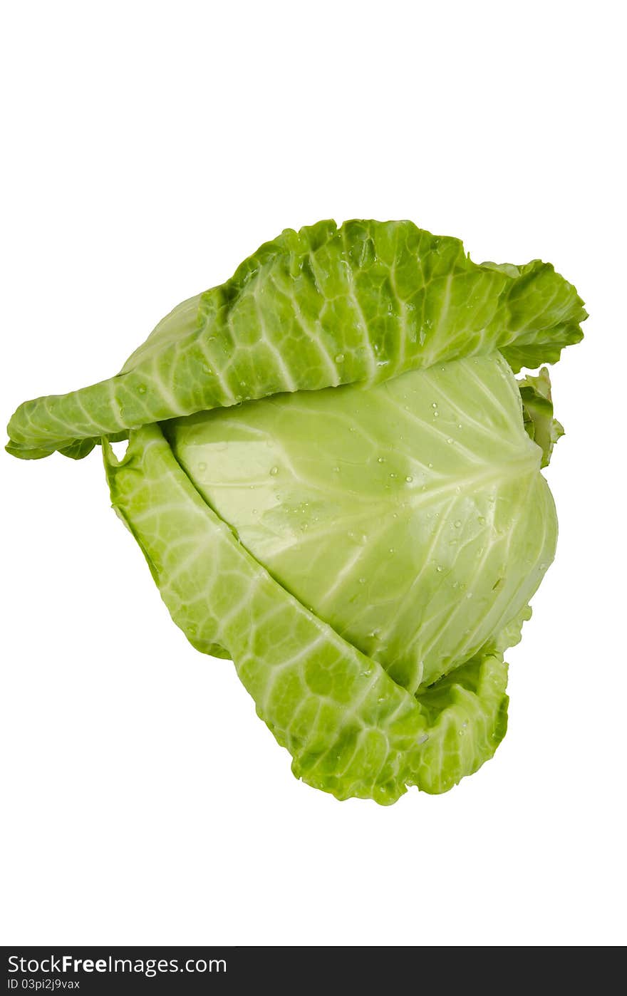 Cabbage Isolated On White