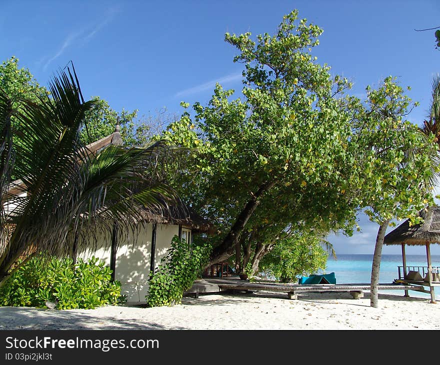 Sunny day on beaches of fantastic islands Maldives. Sunny day on beaches of fantastic islands Maldives