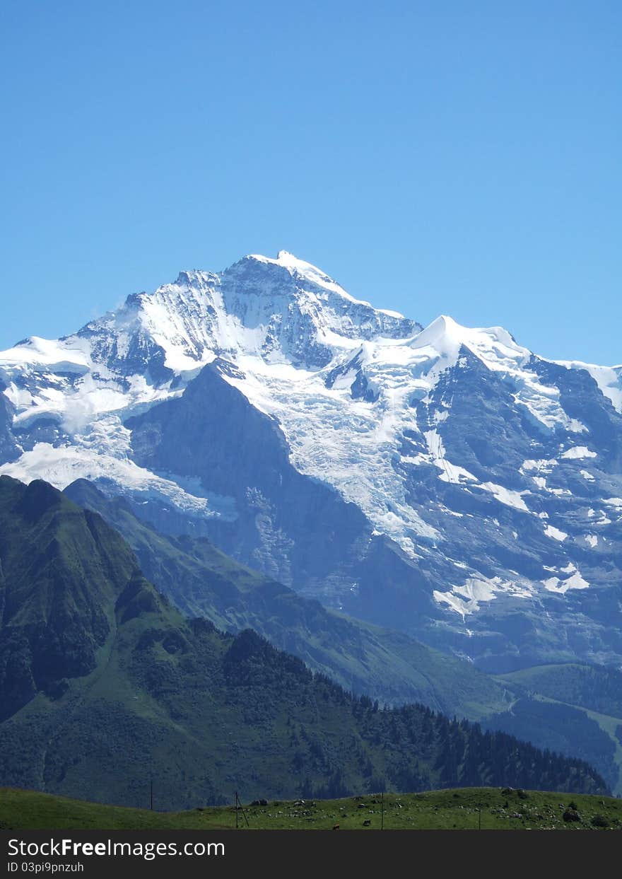 View of the Jungfrau (4158m) from Schynige Platte in the Bernese Oberland in the Swiss Alps at the height of summer. View of the Jungfrau (4158m) from Schynige Platte in the Bernese Oberland in the Swiss Alps at the height of summer