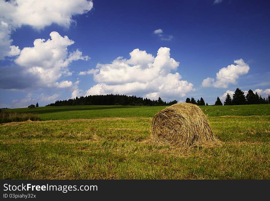 Summer Meadow indeed, central Slovakia