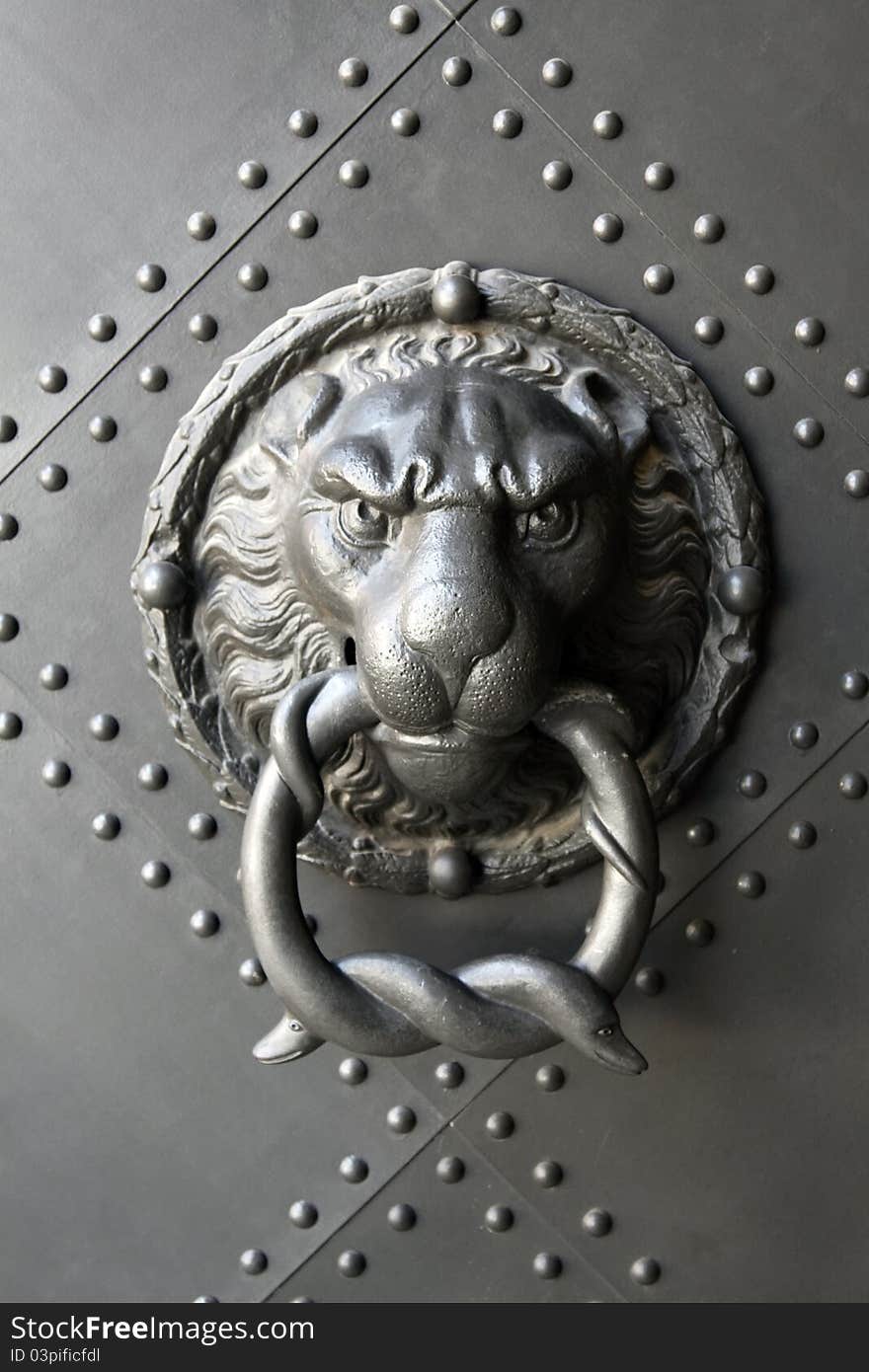 Head door knocker