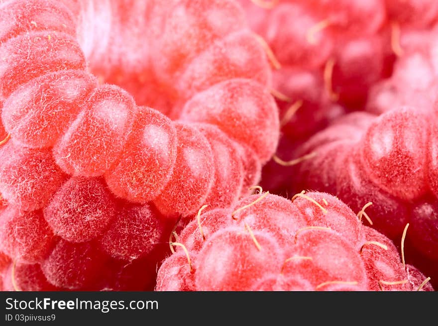 Fresh red raspberry. Nature background. Fresh red raspberry. Nature background