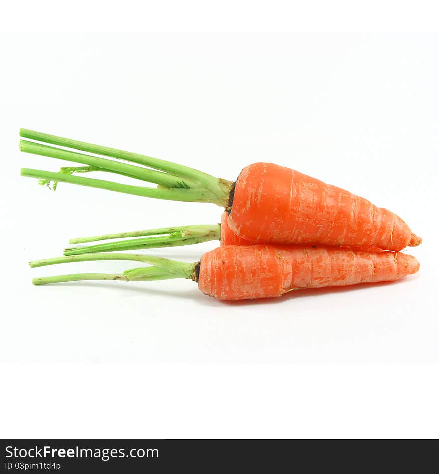 Fresh carrot on white background