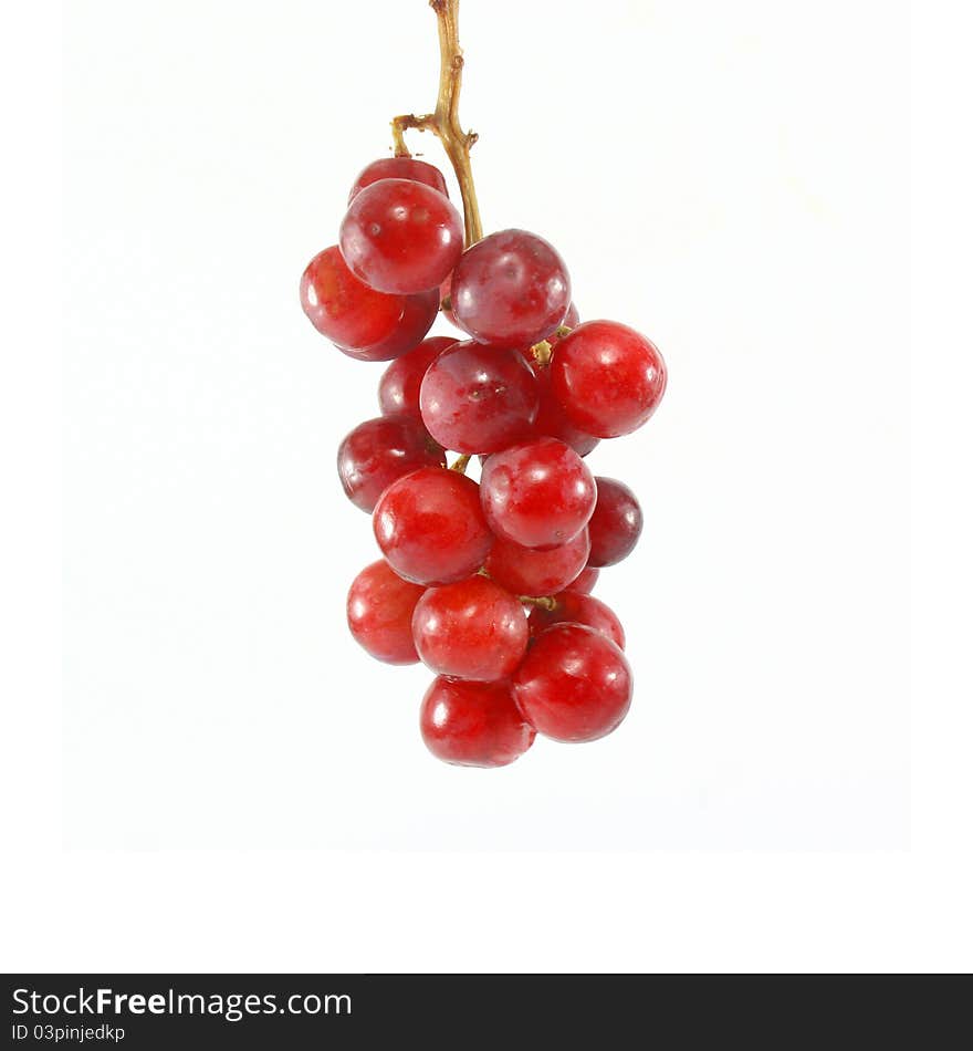 Red Grapes on white background