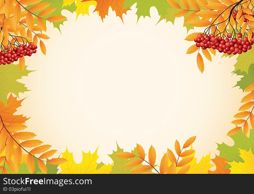 Abstract autumn background with maple leaves and rowanberry