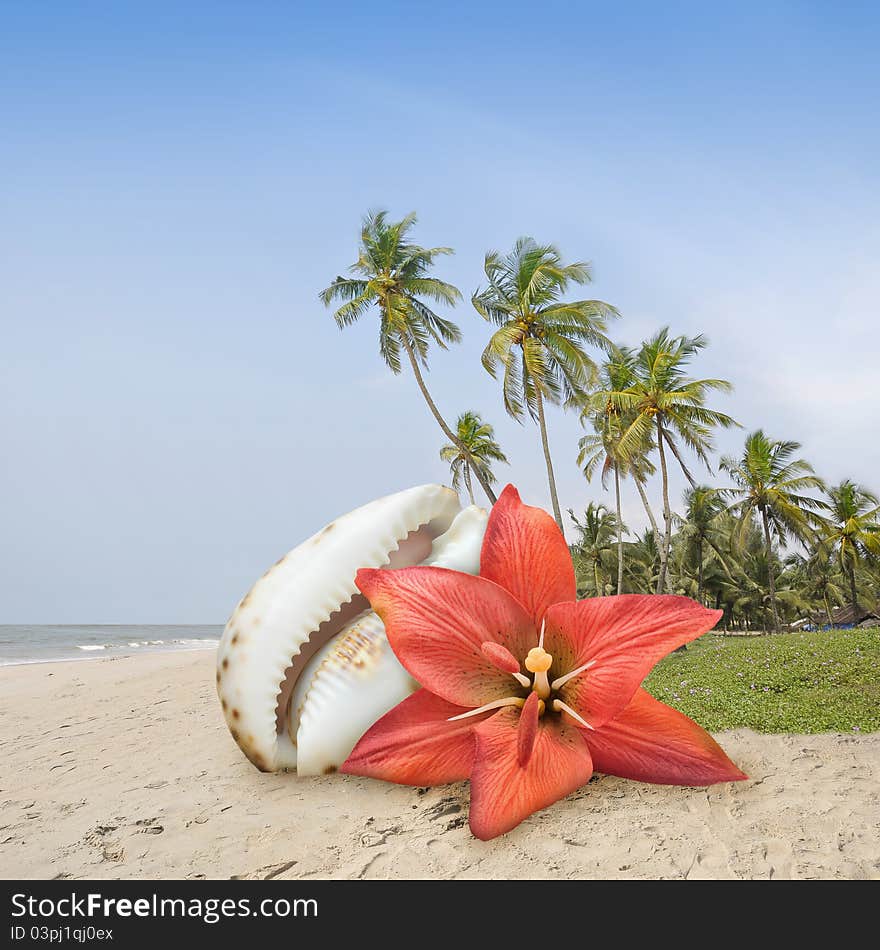 Flower on the beach in a tropical island.