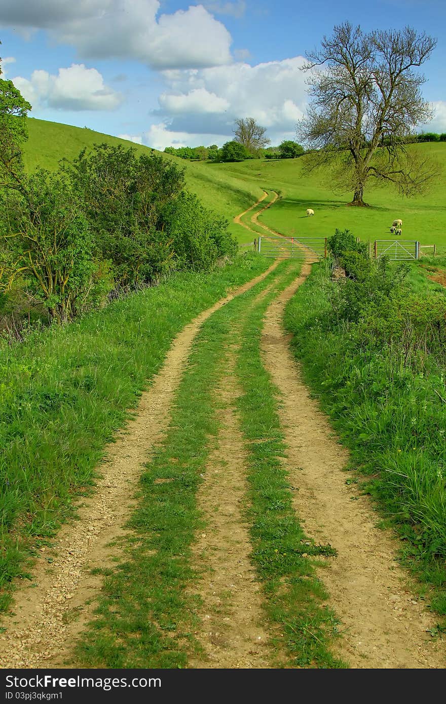 Countryside Trail