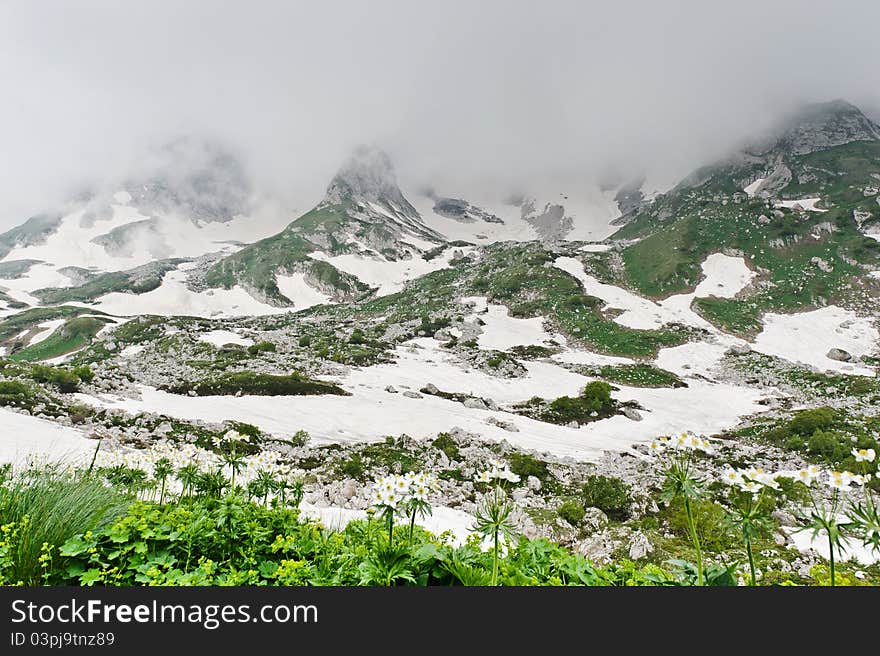 Snow and grass in the North Caucasus mountains. Russia.